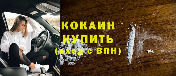 ешки Осинники